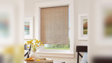 Lowes Roller Shades